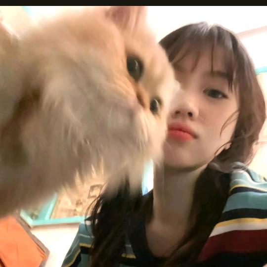 峡谷翻车练习生