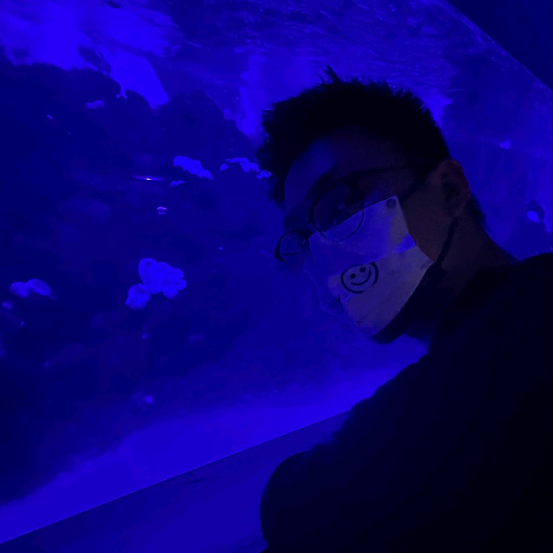 翻斗花园胡图图