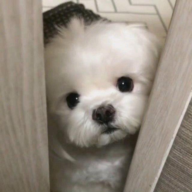 Zzz..