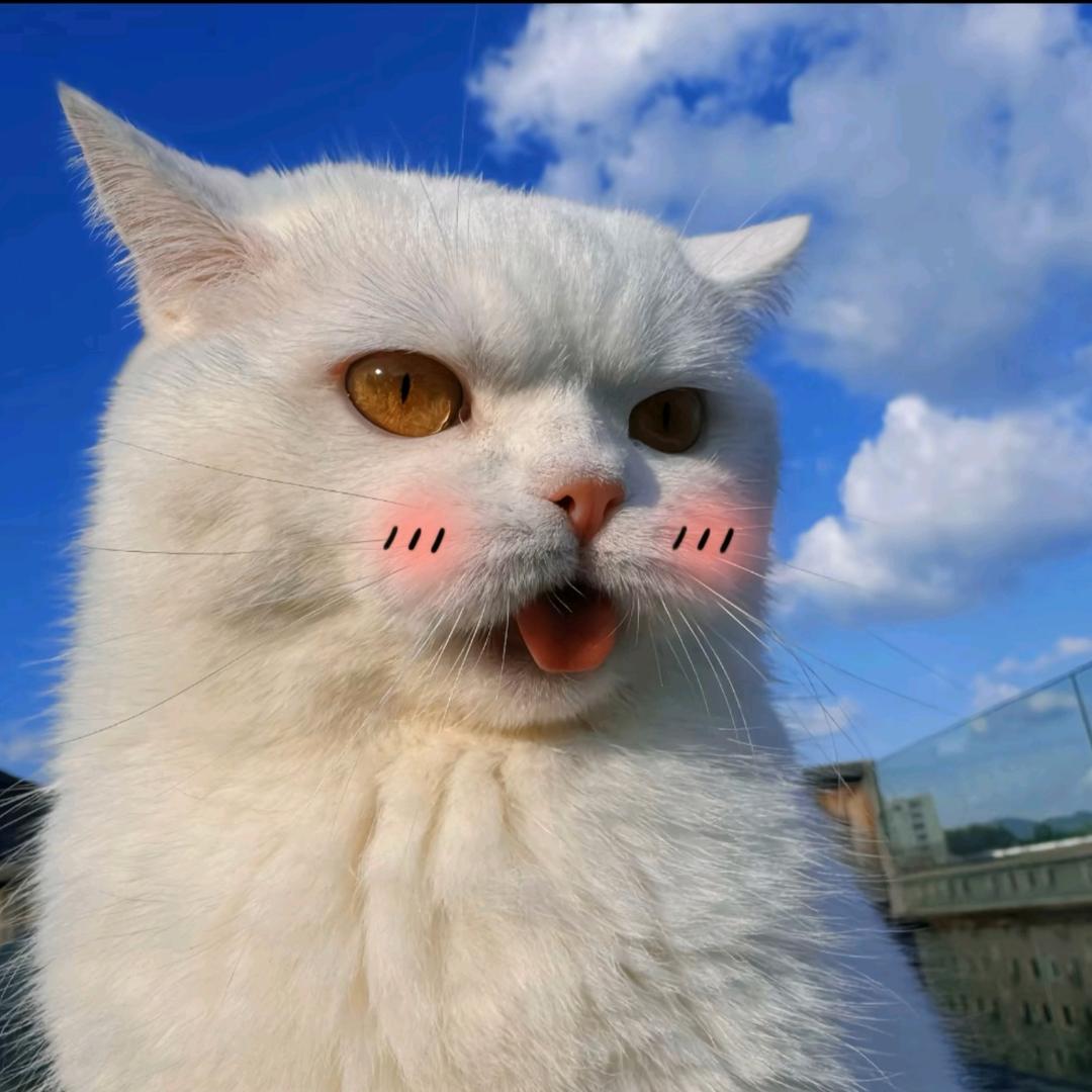 Rui、