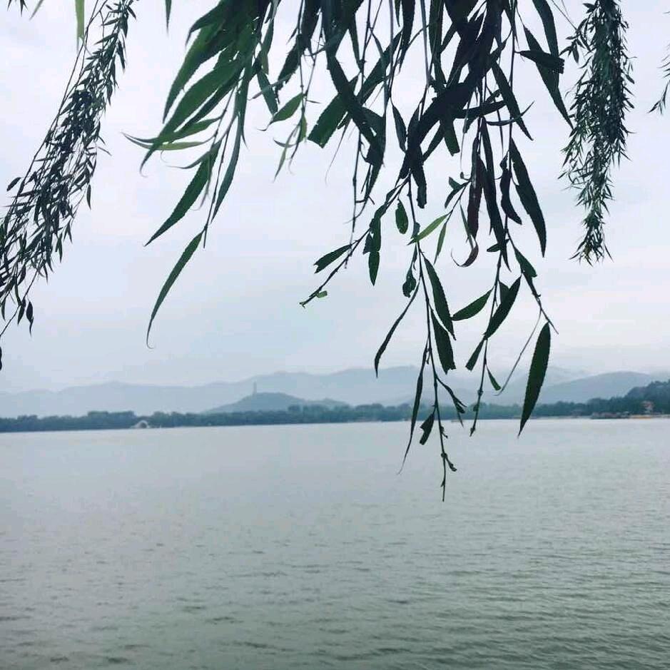 济南张新
