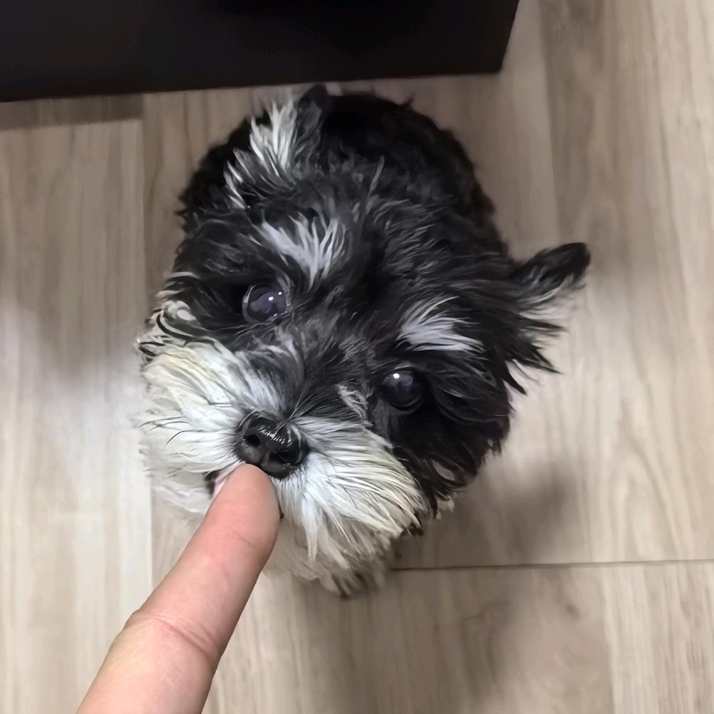 贾骐鸣
