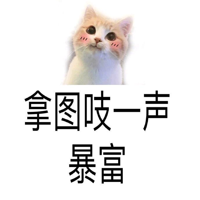 大眼汪汪小姐