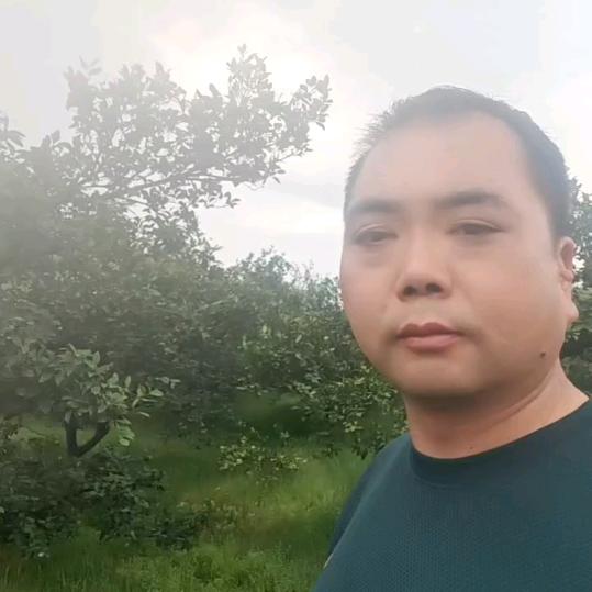 黄氏果业