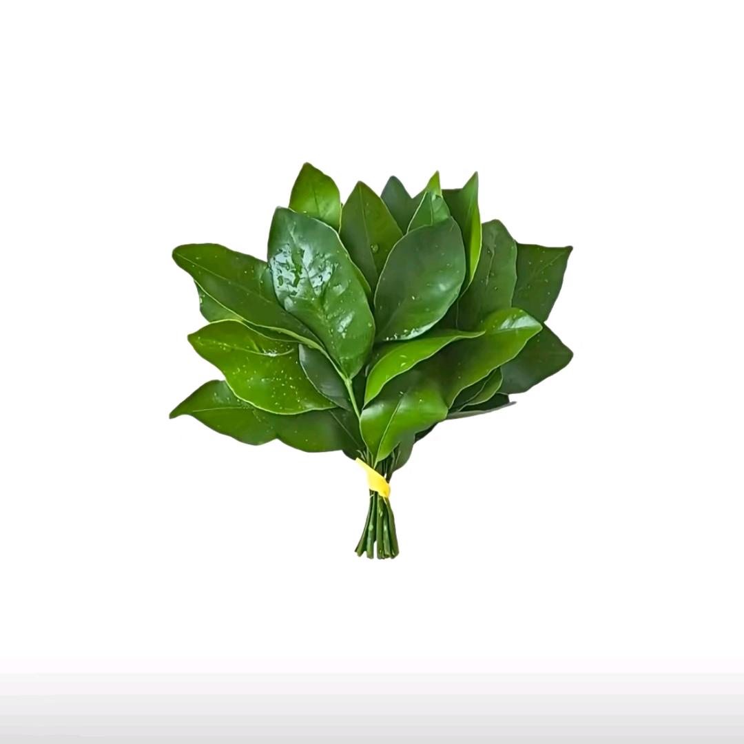 卷卷๑๑