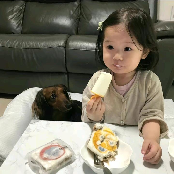 乖乖