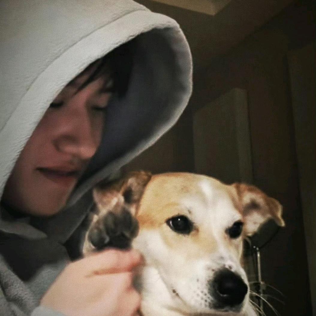 平静米白的玉米