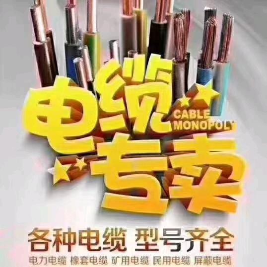 电线电缆-德力西-配电箱柜
