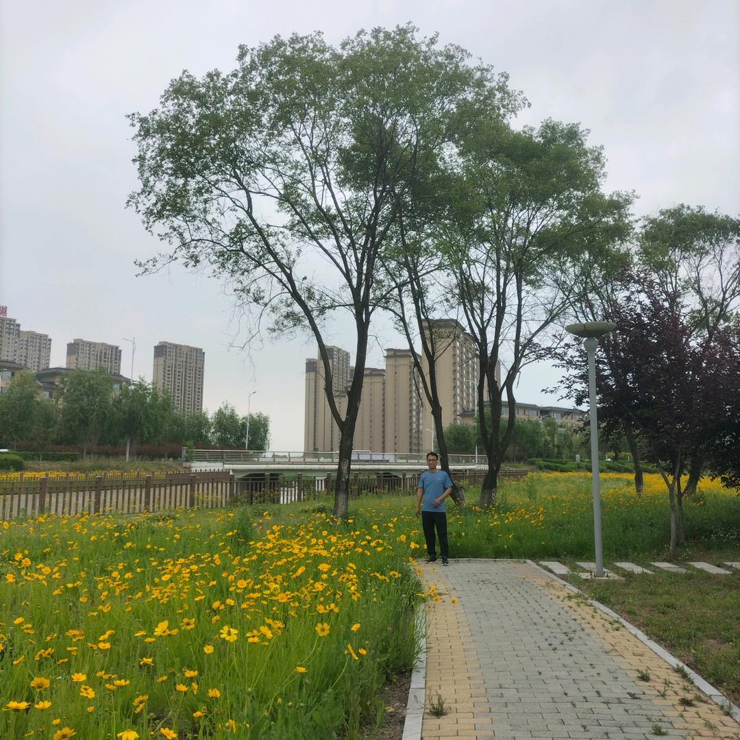 闲云不闲