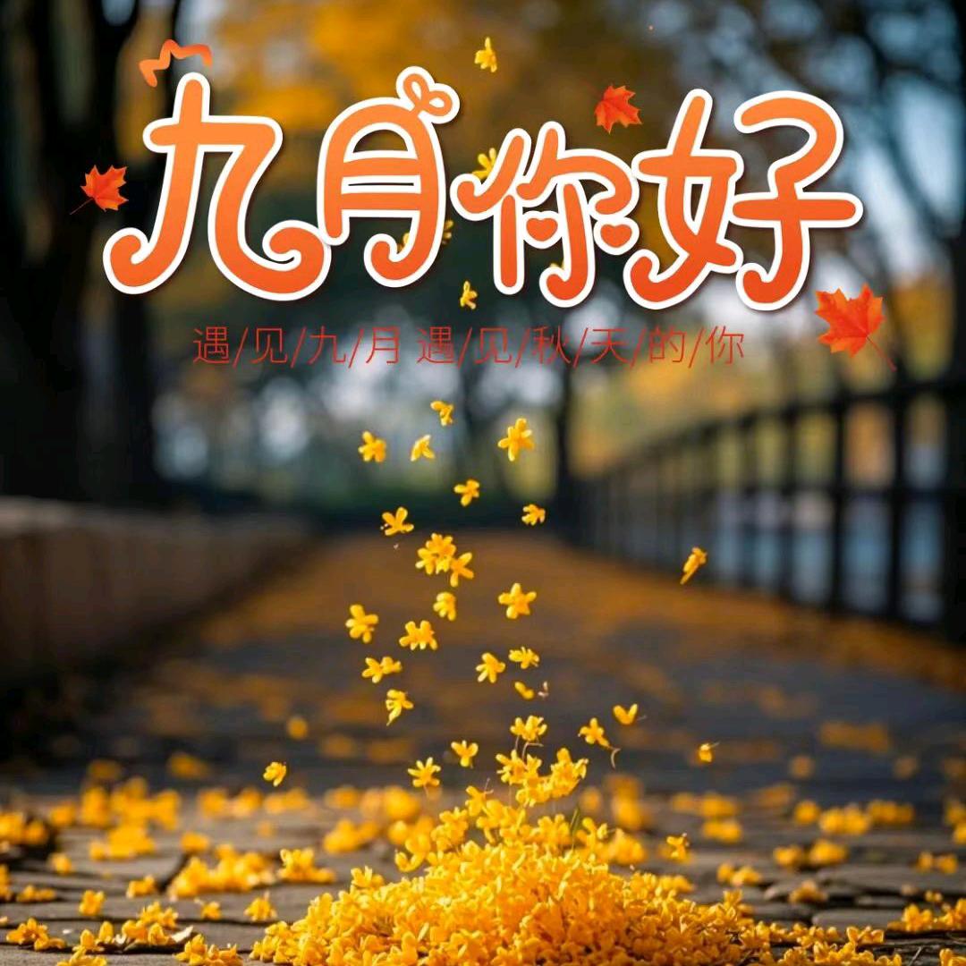 &薄凉&