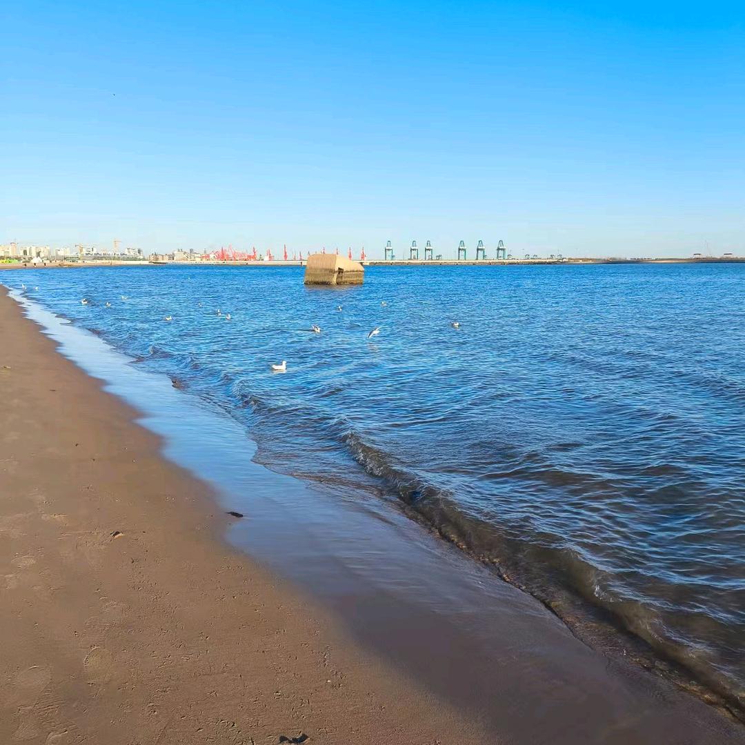 沉浮