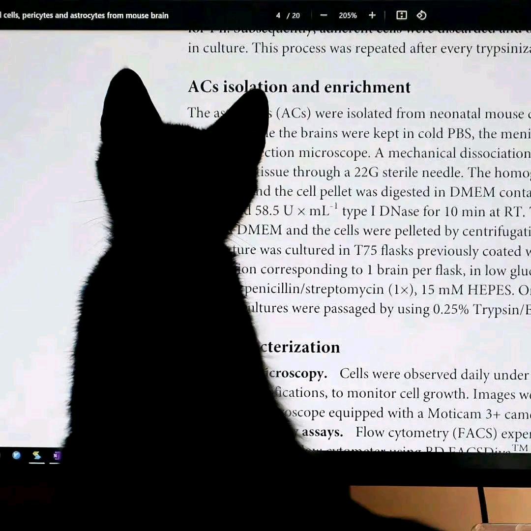 我补要刷抖音了