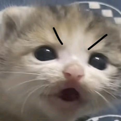 不岛