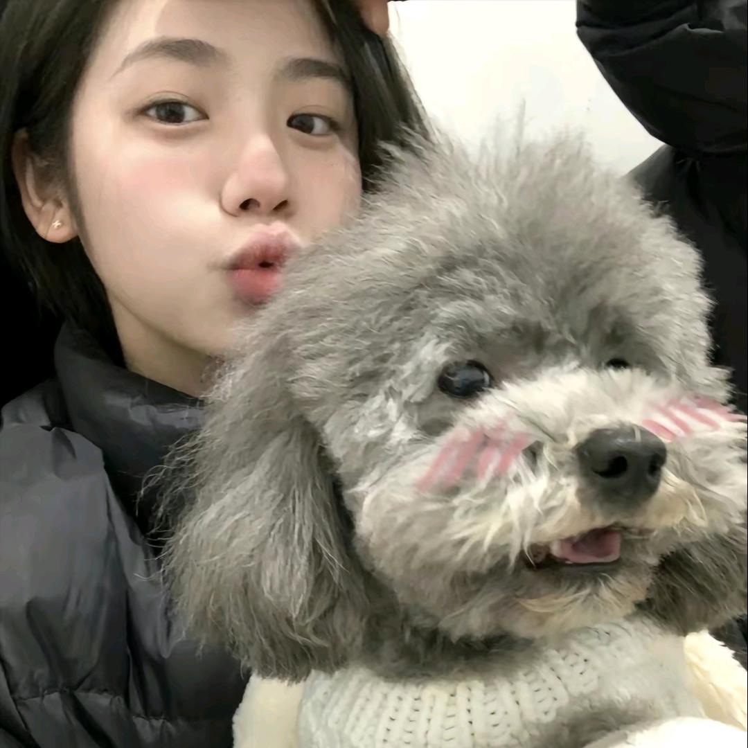 美丽的蛋小姐.