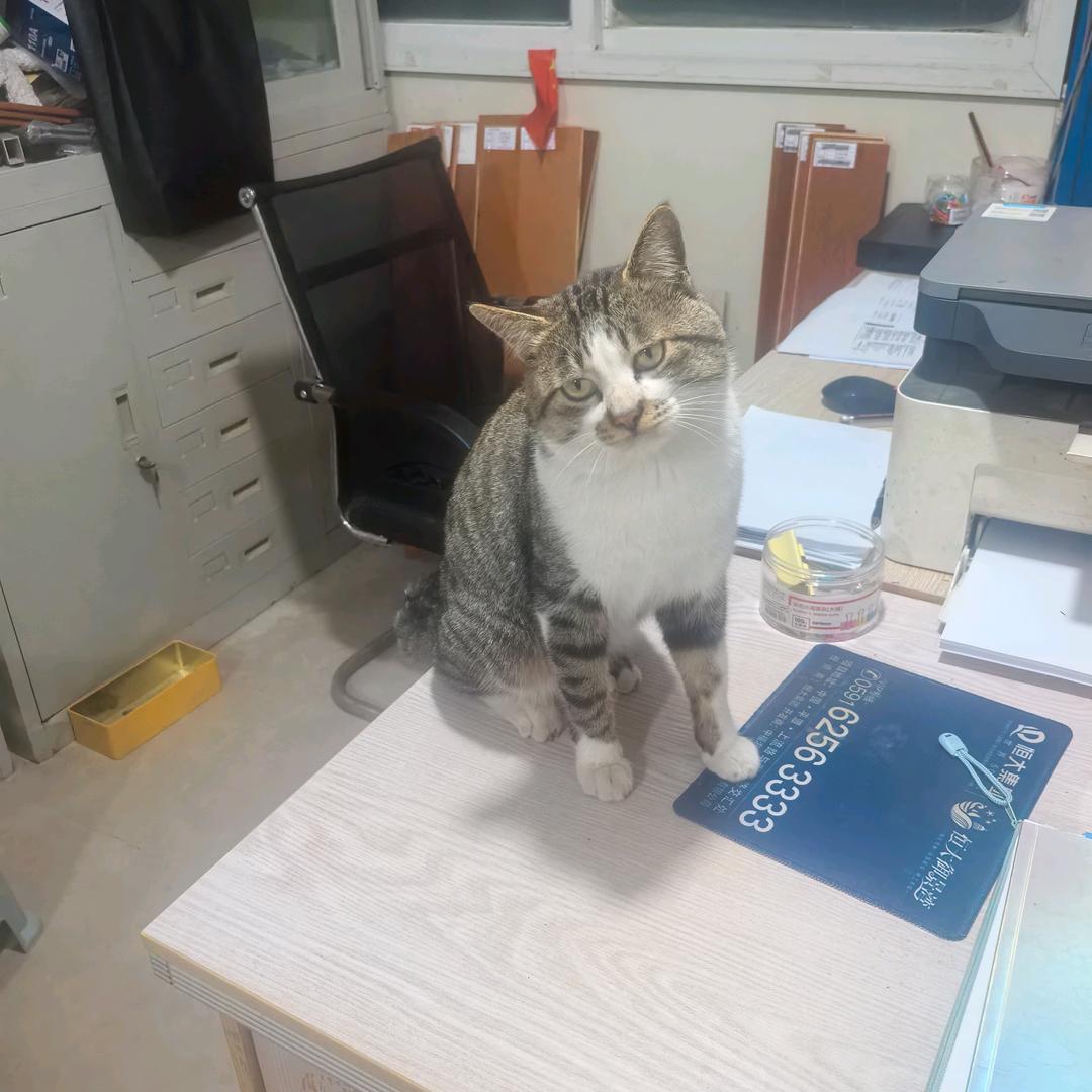 碎银解千愁