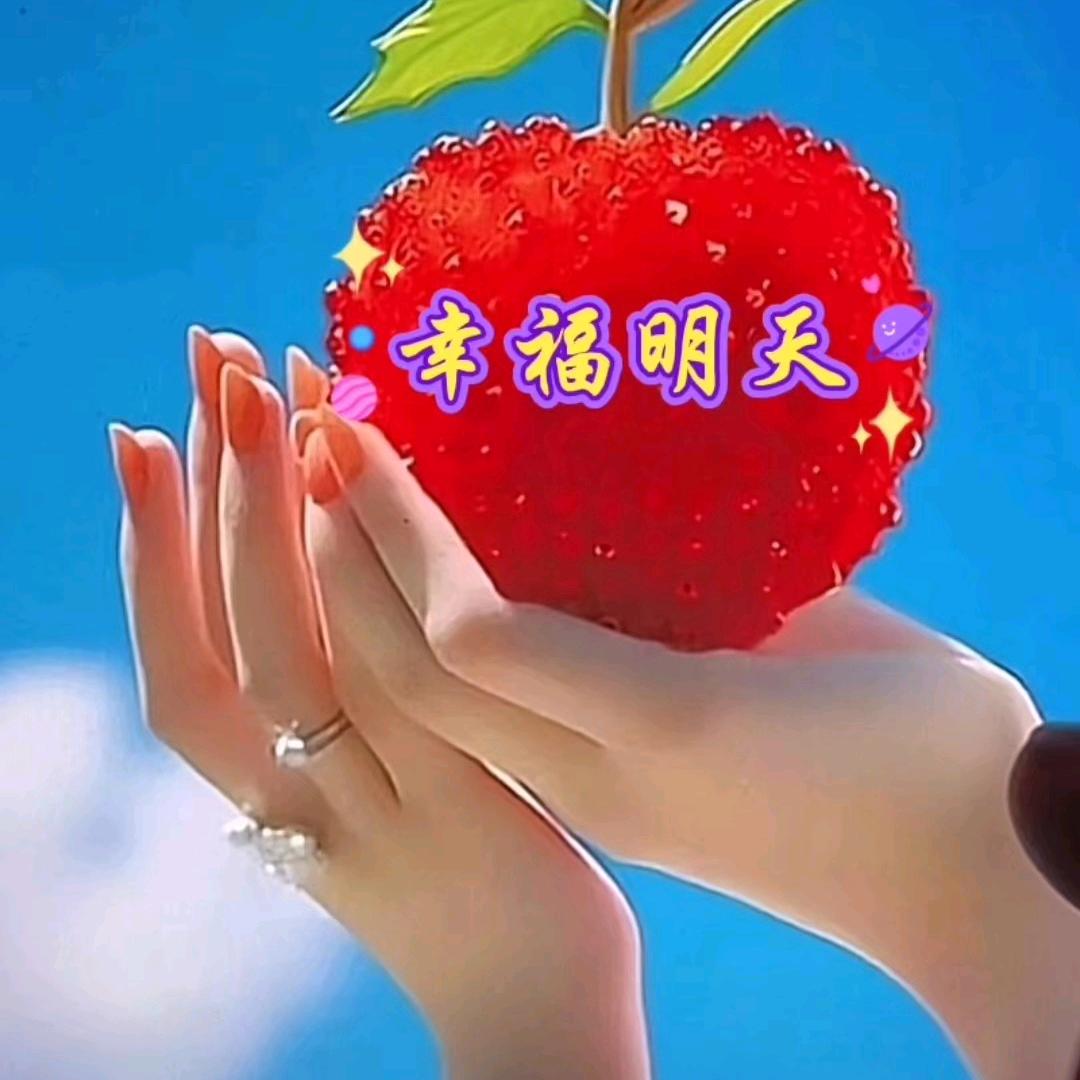 幸福明天（橱窗好物）
