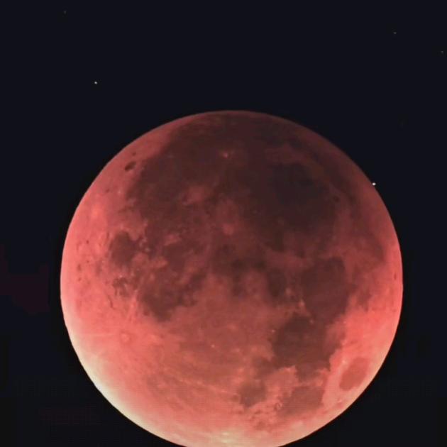 🌹((❤️失败中求生存❤️))🌹