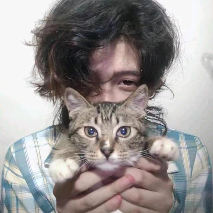 🌈洋洋甄选