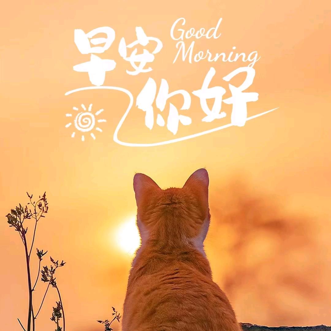 凤姐！拒绝私聊！