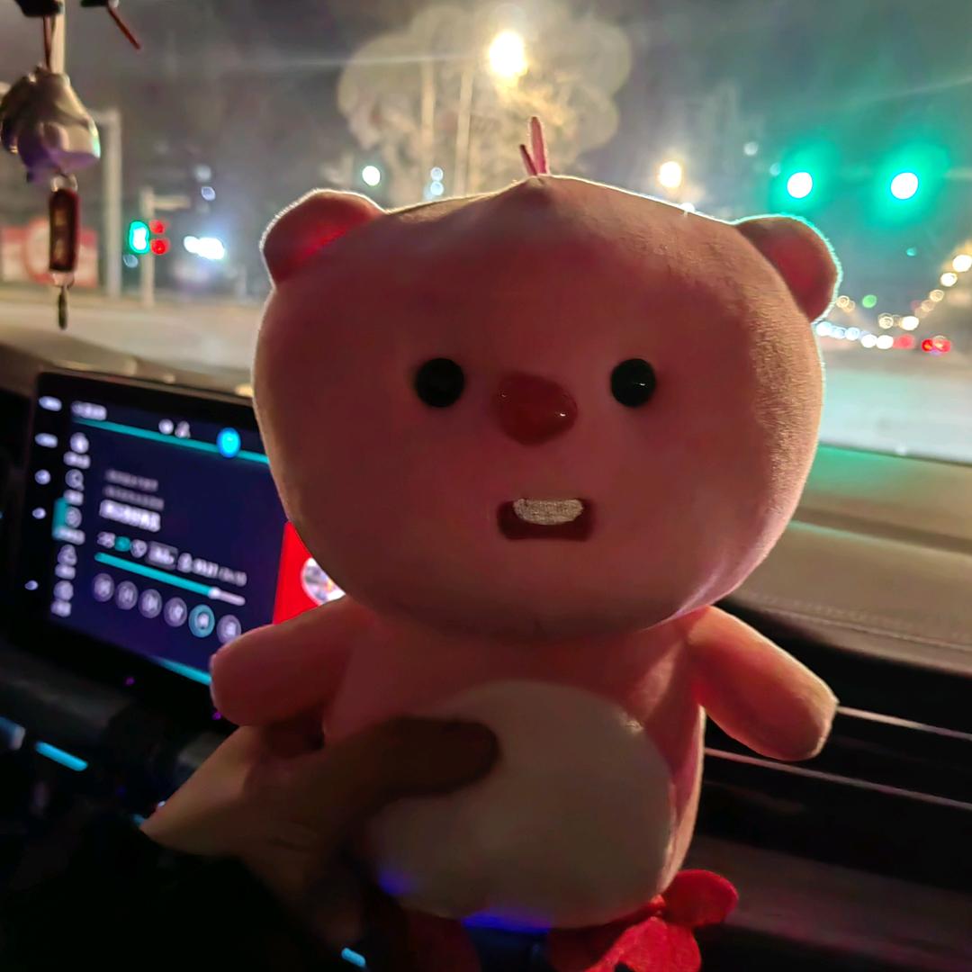 纯情牛肉干🎂🍓