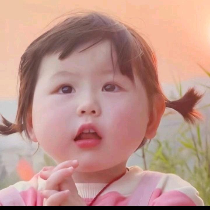 楷少