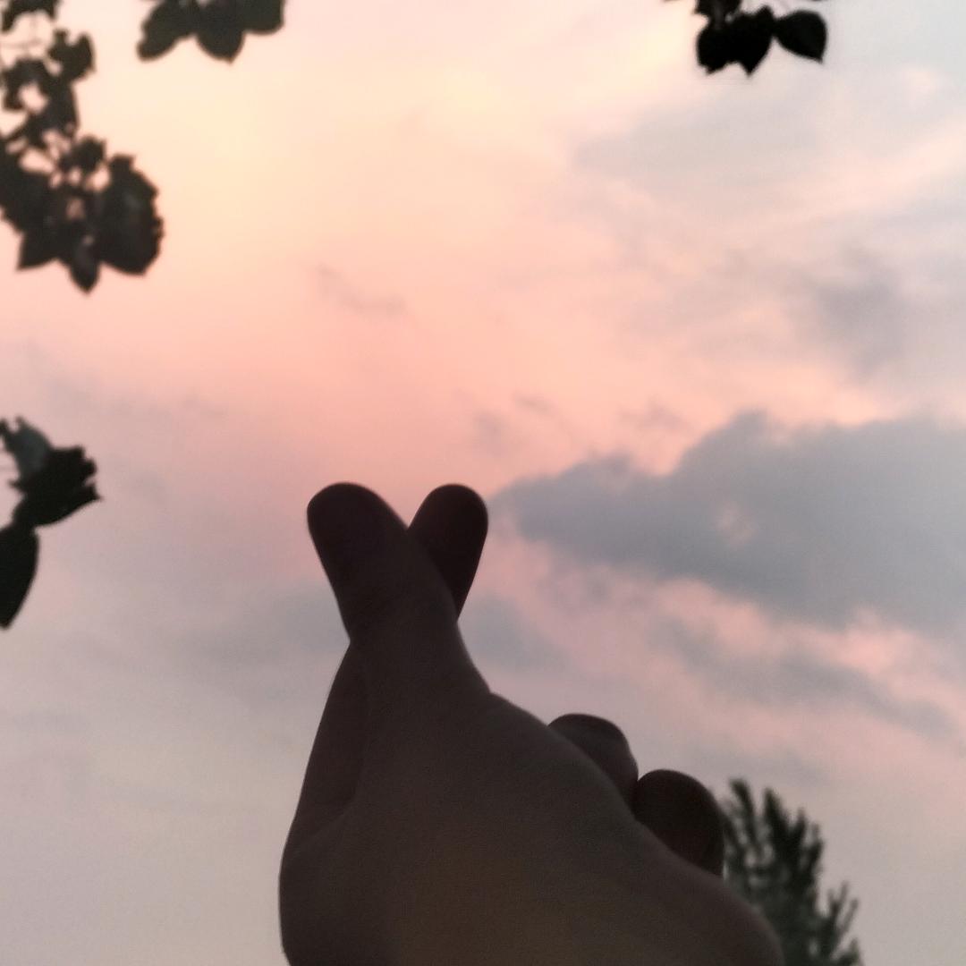 梵高的向日葵