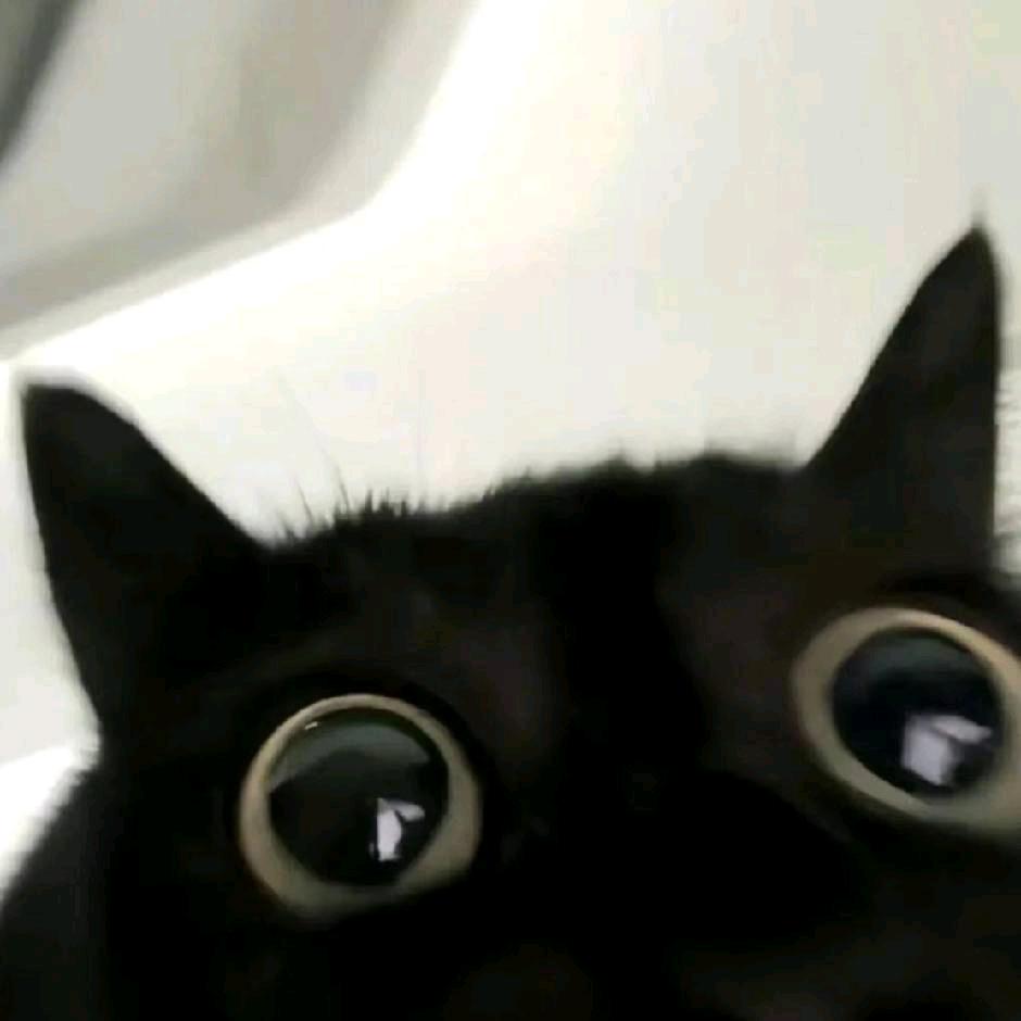 D➕
