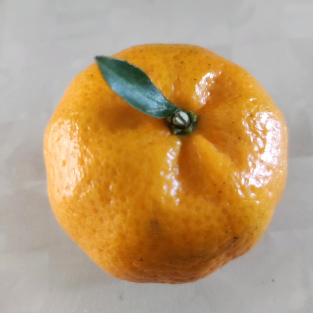橘子红了好
