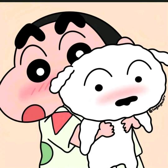 可爱熊熊