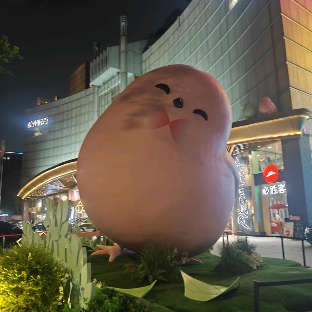 梦想是开上智己