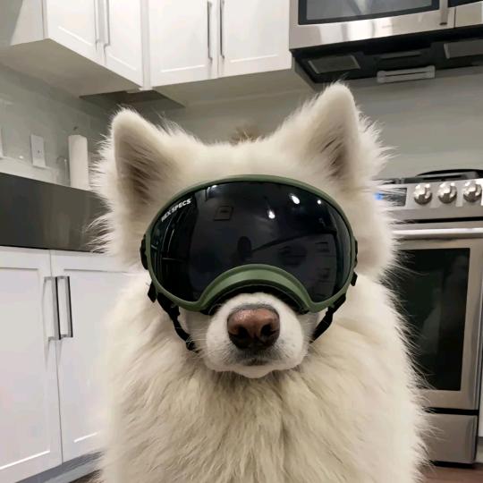 H.