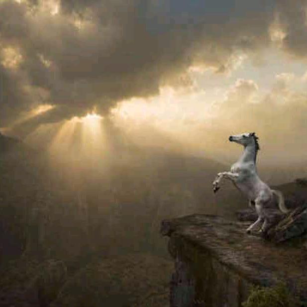 来根楼子可好。