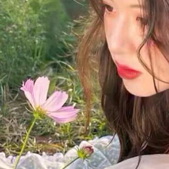 唯美似夏花