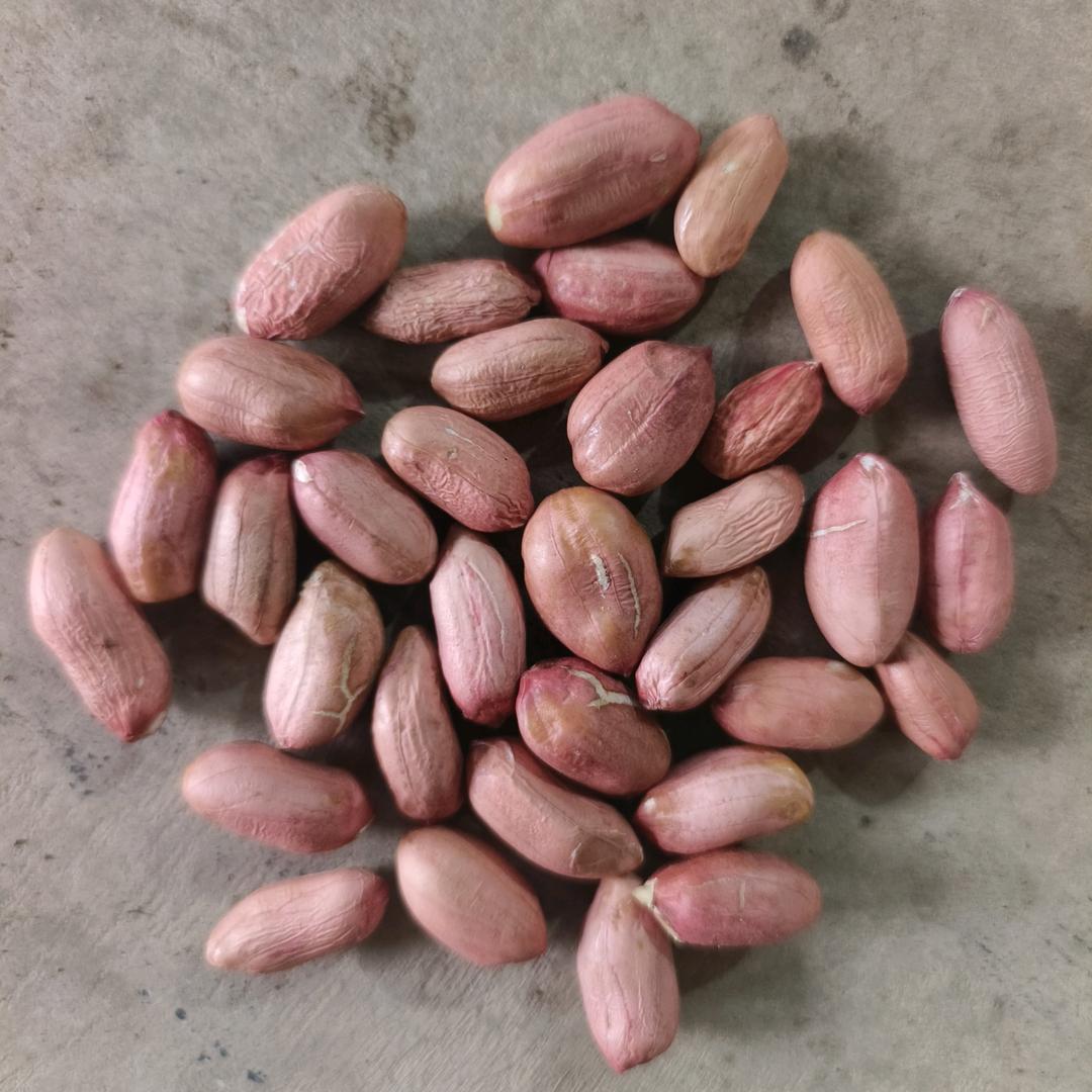 五莲县风先花生米购销中心