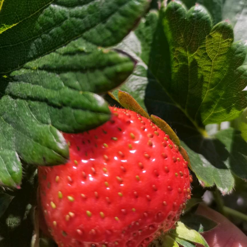 从此不再走江湖