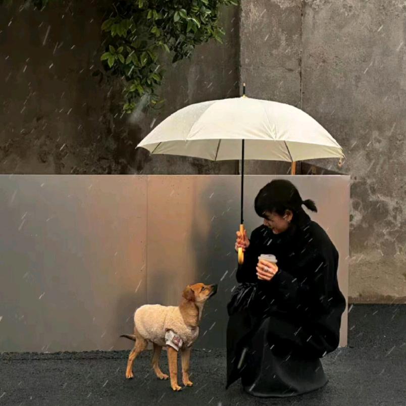 @译心