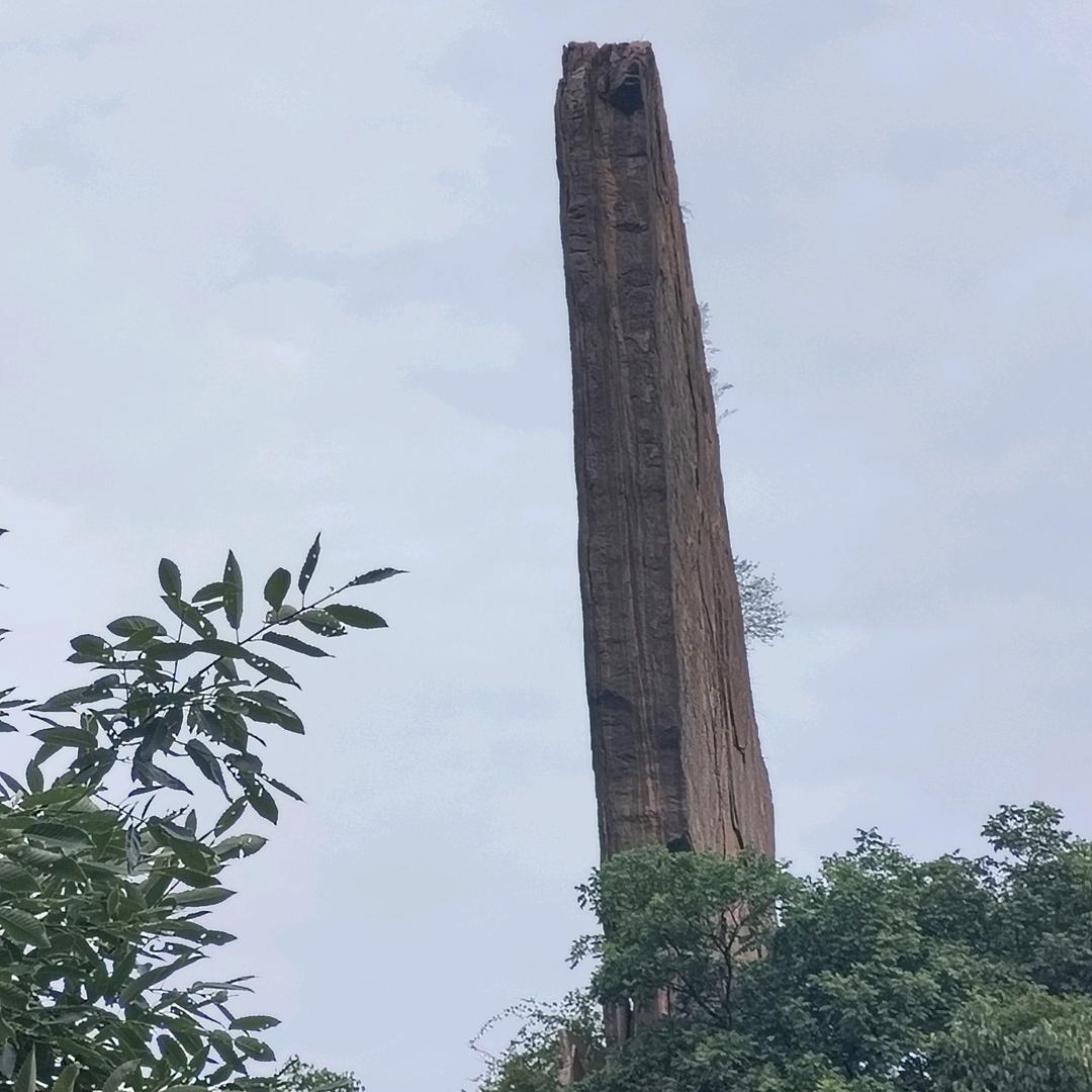 万哥