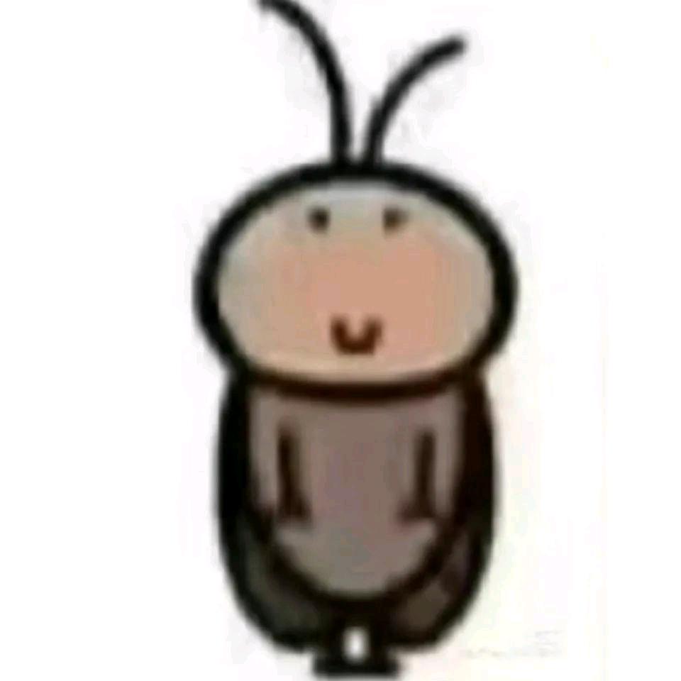 小象—