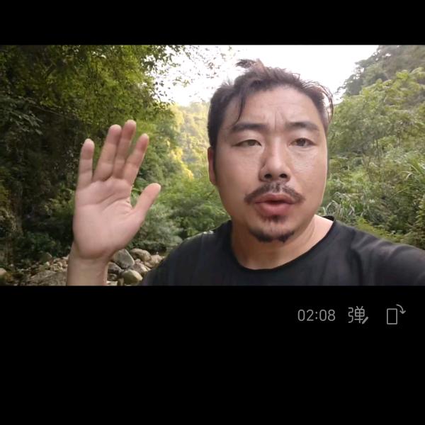 飞龙