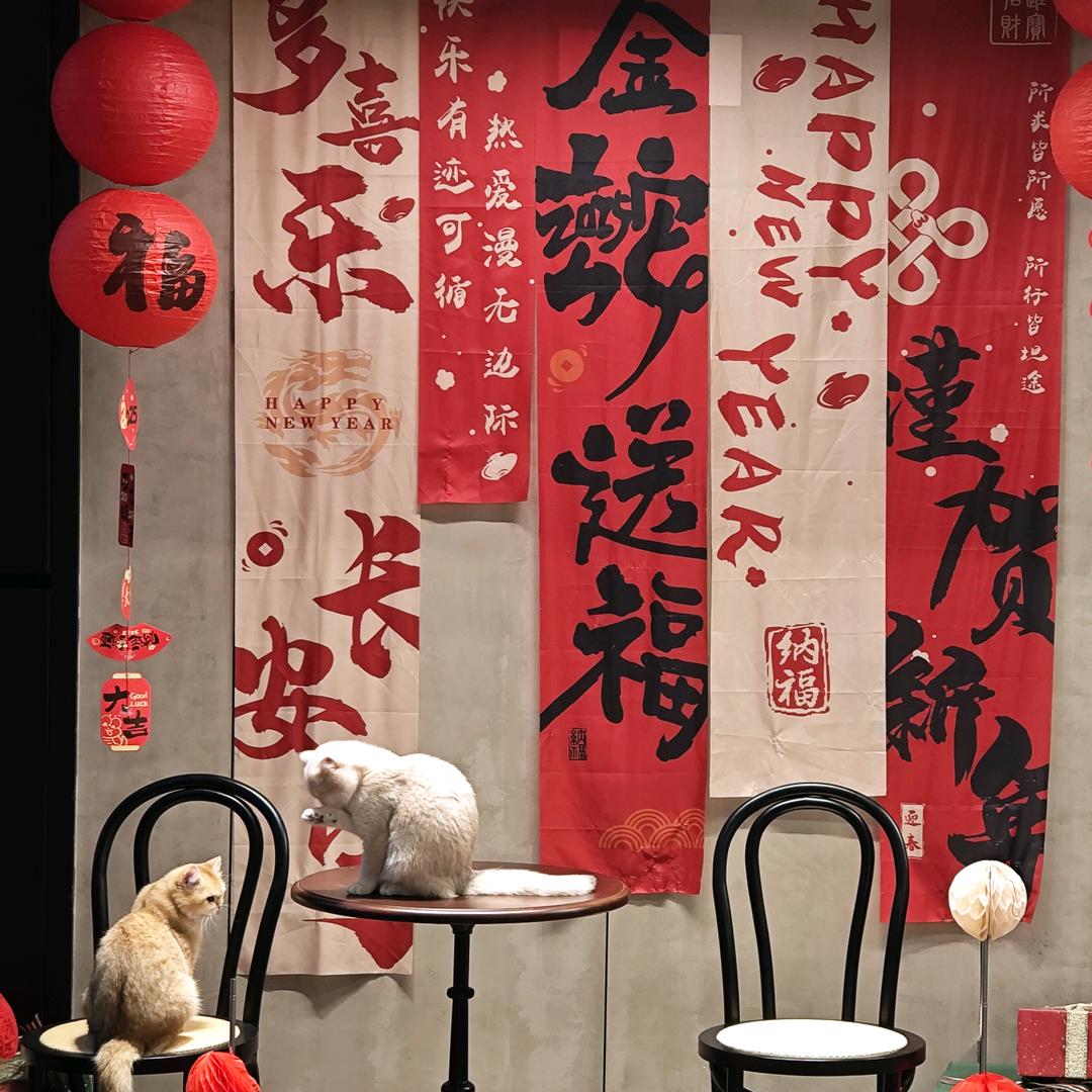 还不戳