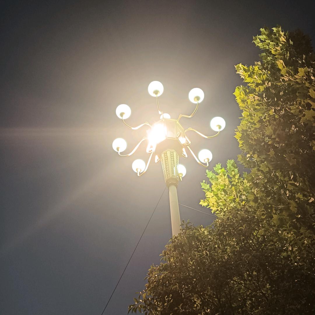 ⚜️执念^O^蕾♛