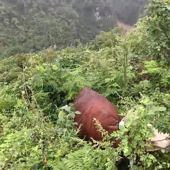 其