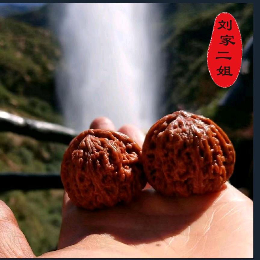 正宗涿鹿南将石一代【刘家二姐】