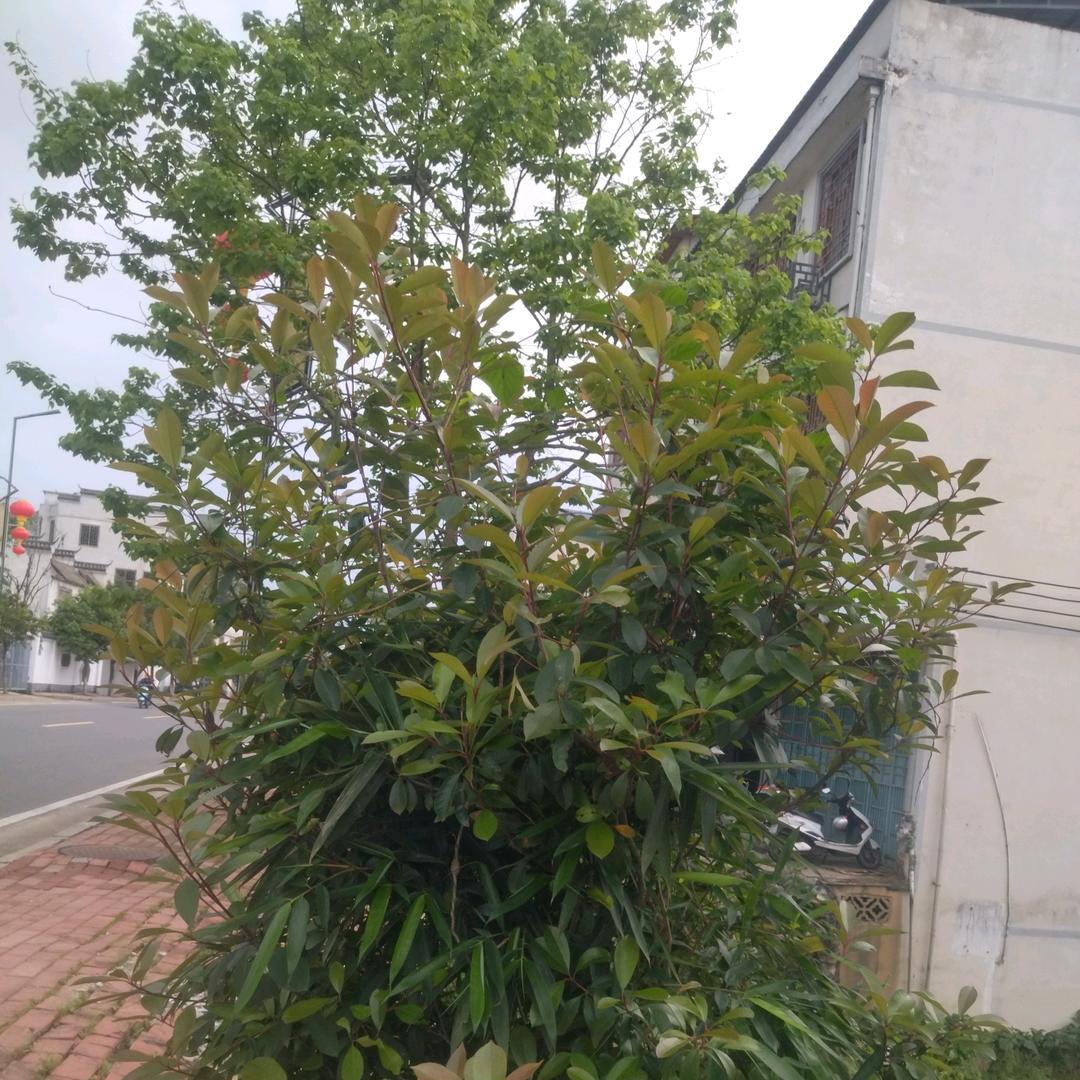 顺其自然1