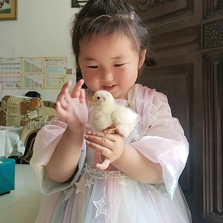 完颜潇洒姐【拒私聊】