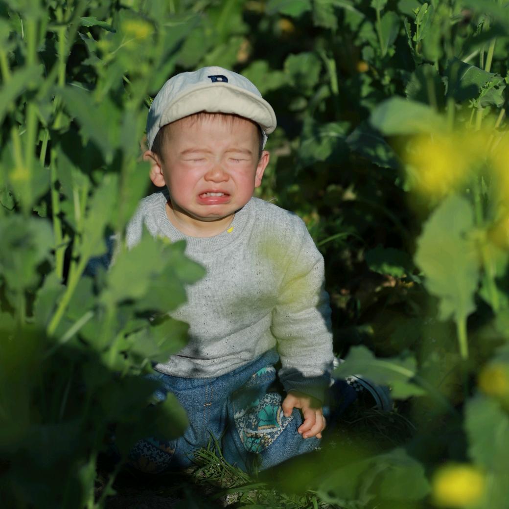 小斌哥
