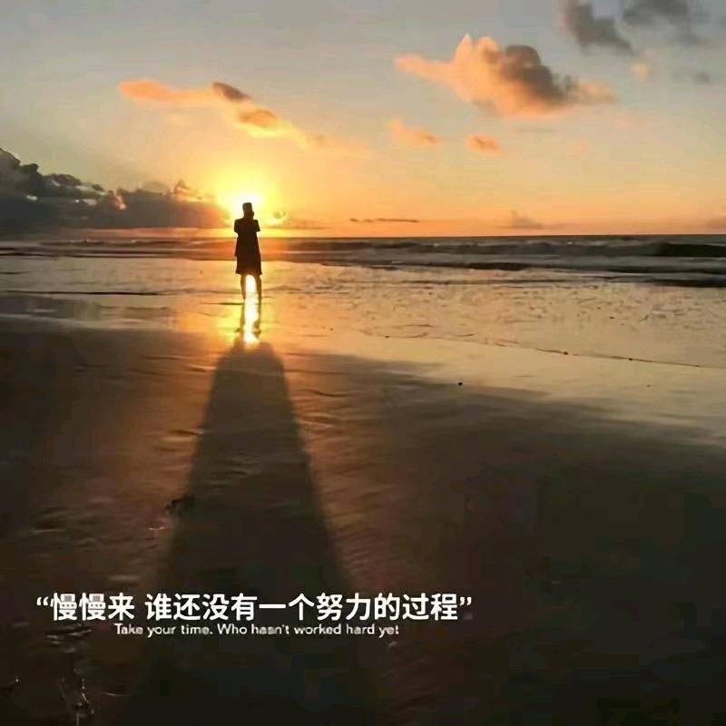 晨瑞建筑-韩博