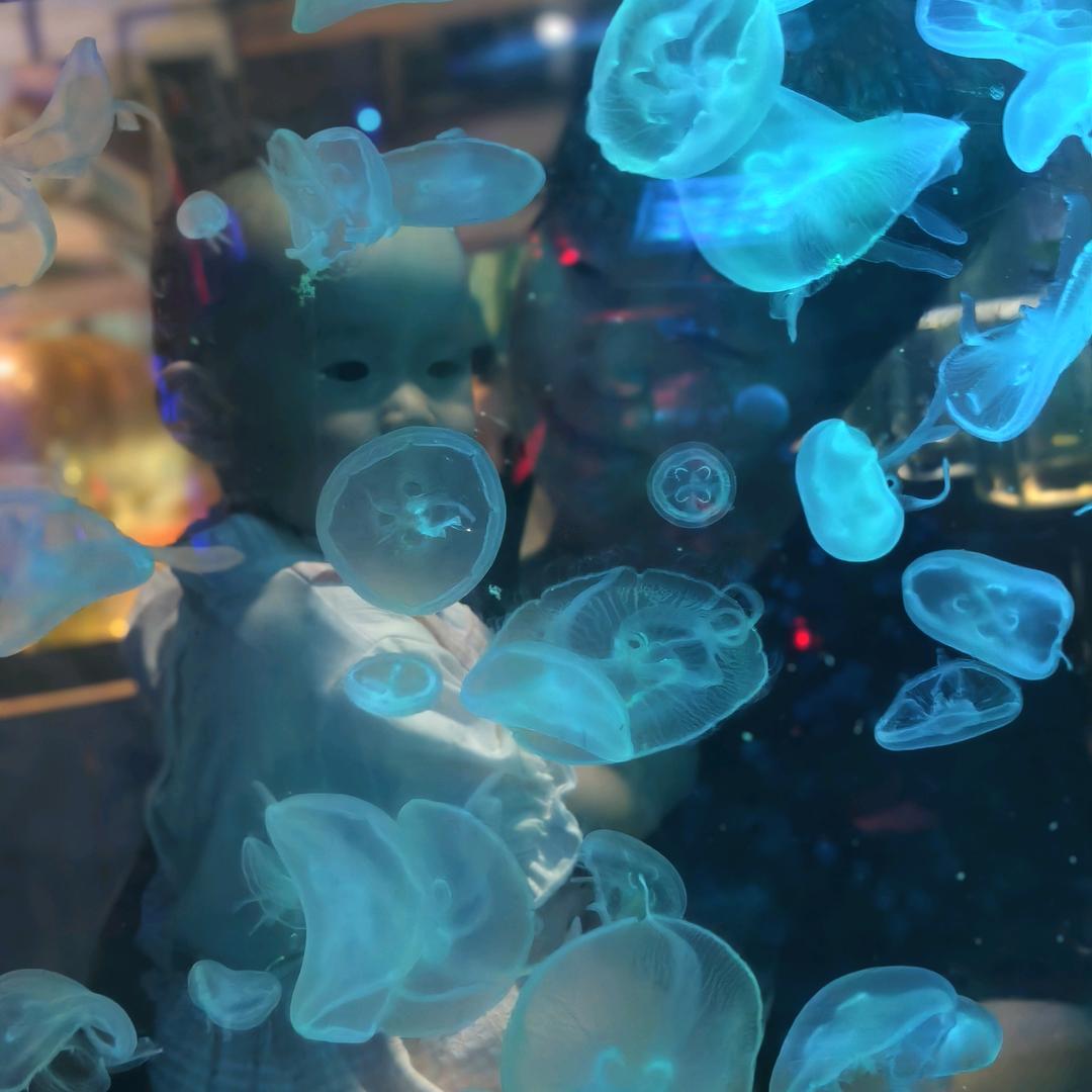 《张》🐟小丸子