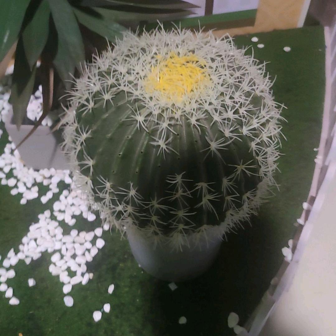 怕黑的女孩👧🏻