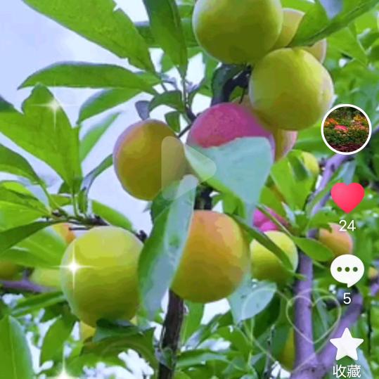 单身哥想找一个有缘人